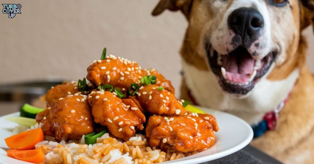 Can Dogs Eat Orange Chicken