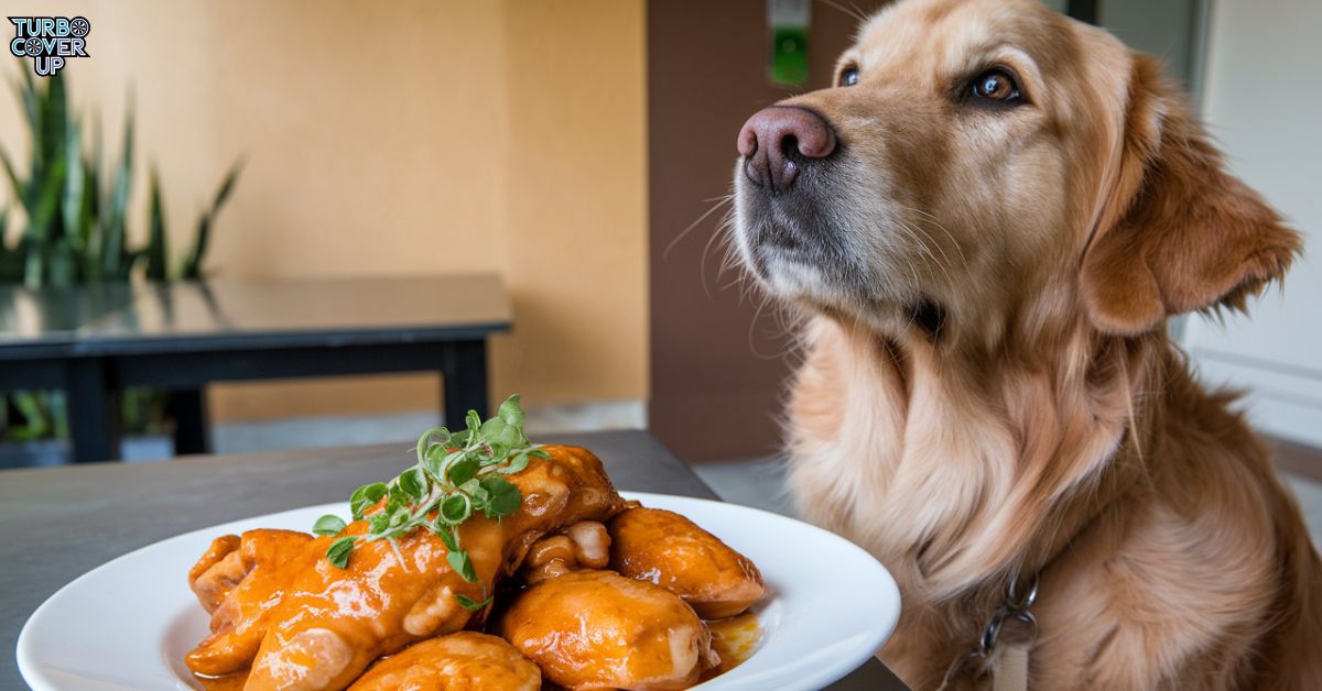 Can Dogs Eat Orange Chicken