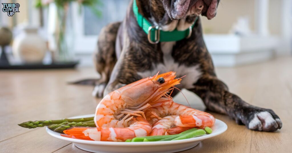 Can Dogs Eat Raw Shrimp?