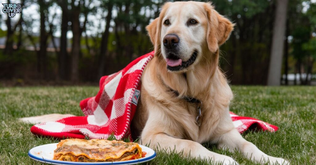 Can Dogs Eat Lasagna with Ricotta Cheese?